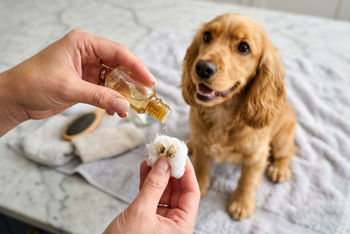 Gentle Pet Ear Rinse Cleaner — Alcohol-Free, Daily Odor Cont — image 2 of 5